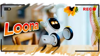 Loona the Pet Robot: Why Everyone Wants One Now!