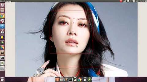 Python Google Cloud Vision faceAnnotations