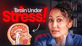 Can Insulin Resistance Cause Depression? The Overlooked Connection