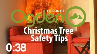 The 12 tips of Christmas for a fire-free safe tree | Ogden Fire Department