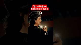 Download Lagu Mbah Nun | Ojo lali tujuan hidupmu di dunia ini #caknun #ngaji #short #shortvideo #ilmulaku #mbahnun MP3