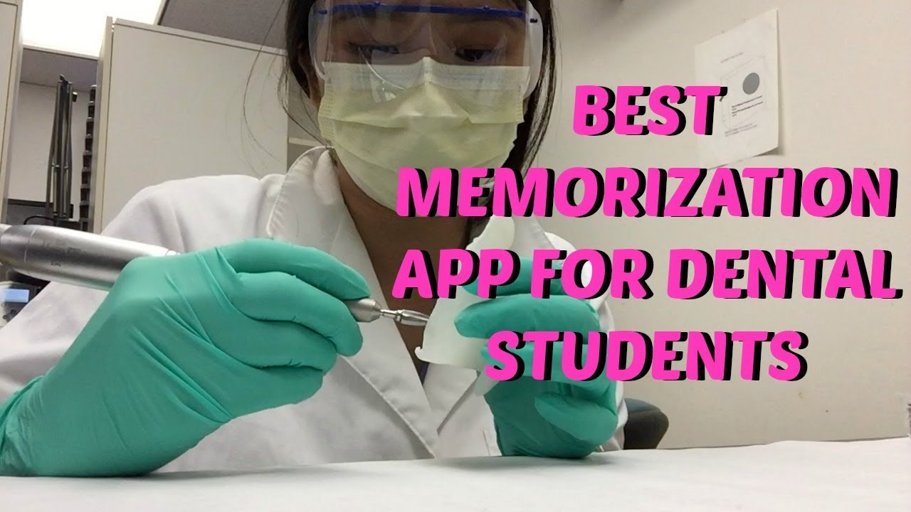 Dental School Vlog + Best Way To Memorize || Brittany Goes to Dental School