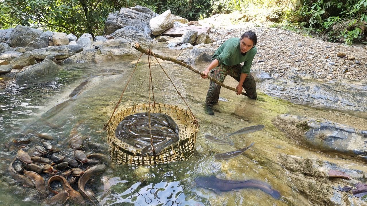 Make a basket to trap all stream fish, survival alone, survival ...