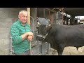 - ŽDRALONJA ACE BATARA IDE NA VLASINJE DA NAPRAVI PRAVI DAR MAR