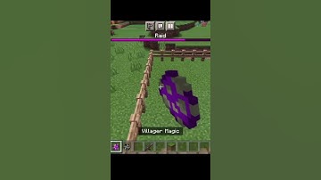 #shorts || Villager vs Pillager || #minecraft
