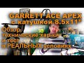 Garrett Ace Apex с катушкой 8.5х11". Обзор и тест в реальных условиях