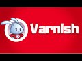 Varnish  http accelerator crash course