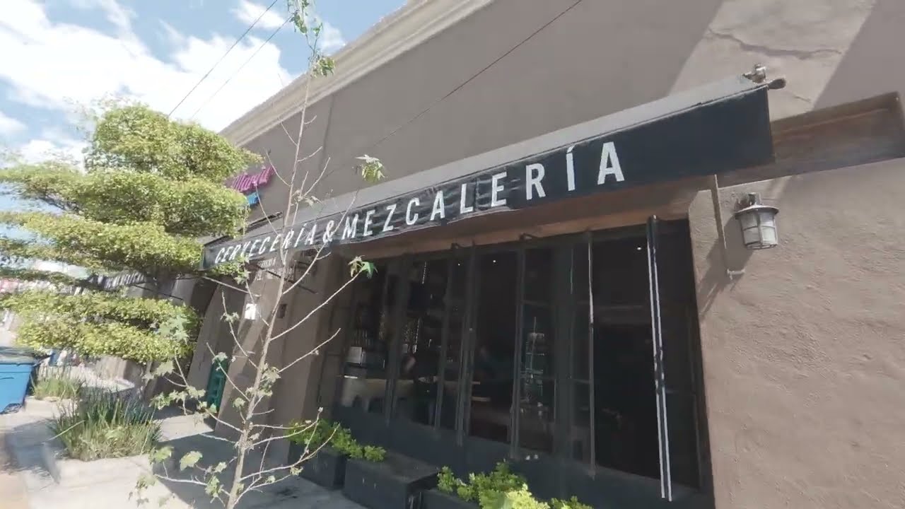 Walktour 4K: Calle Benito Juárez Completa || Ciudad Guzmán || 24 de Febrero 2026