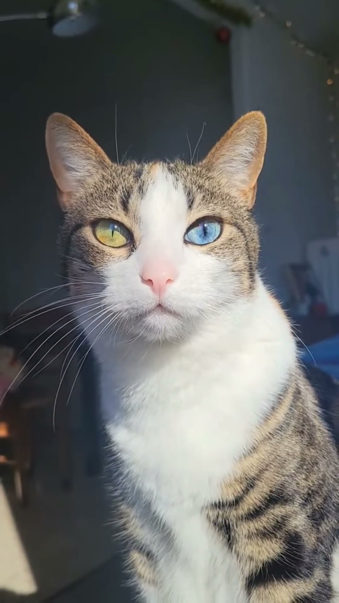 Max très mignon