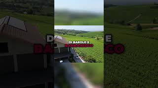 Piemonte: Scoperta di Vini e Paesaggi Italiani Unici! #shorts