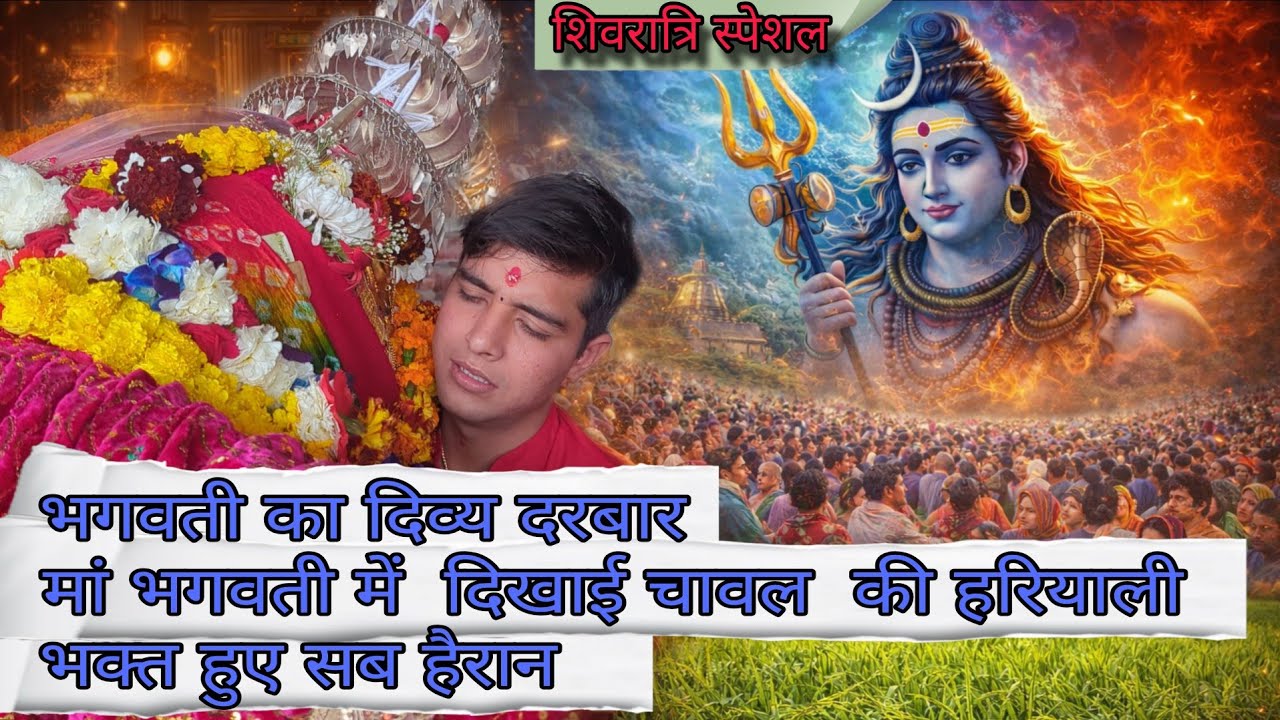 भगवती का दिव्य दरबार/  मां भगवती में  दिखाई चावल की हरियाली🌾 भक्त हुए सब हैरान😳 /शिवरात्रि स्पेशल 🙏🏻