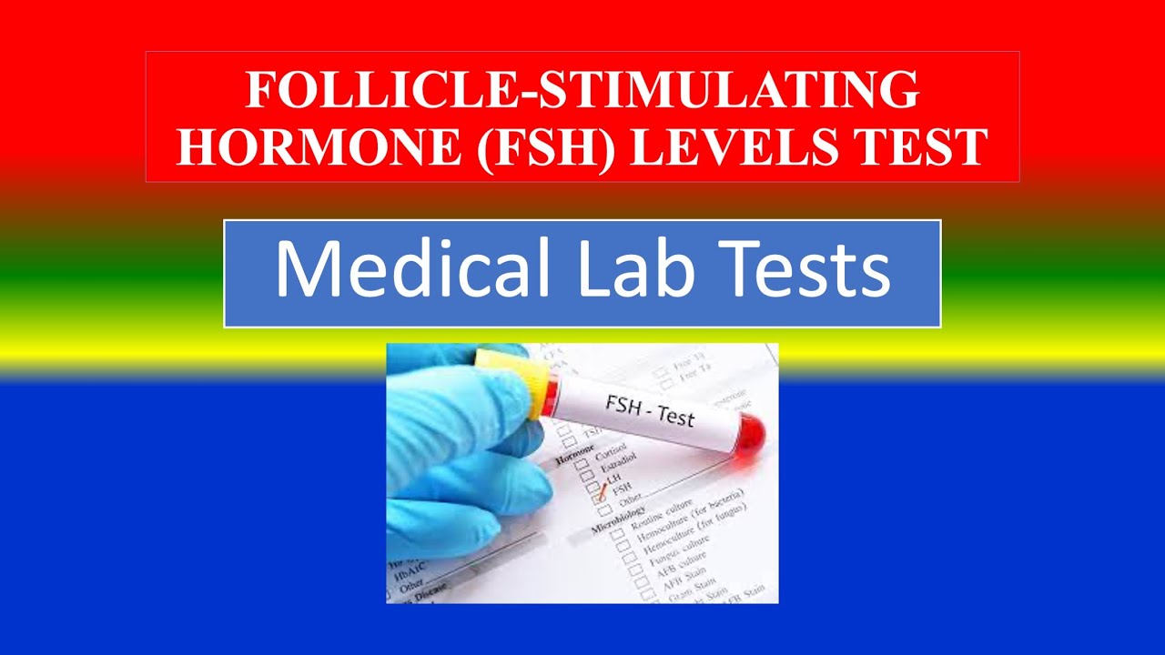 FOLLICLE STIMULATING HORMONE FSH LEVELS TEST Medical Tests What 