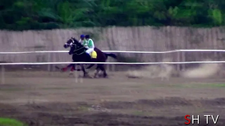 Matias vs Pequea Amante 800 m HIPODROMO ITALO COLAMARCO INTRIAGO