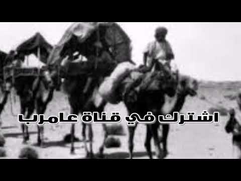 اغاني البني عامر شرق السودان