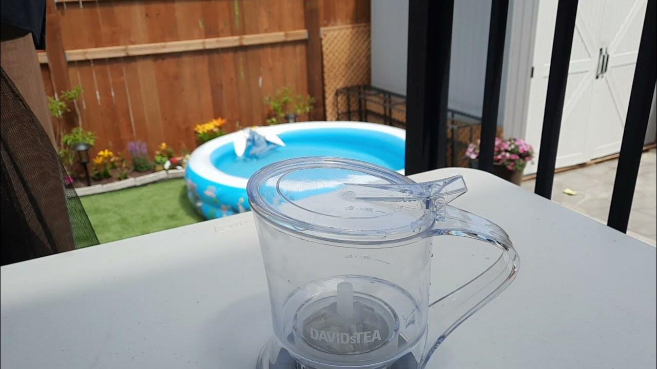 David's Tea steeper davidstea YouTube