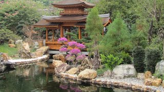 Wong tai sin temple in hong kong -