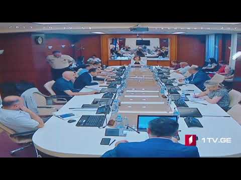 14.08.2019 თეა ძიმისტარაშვილი, ალექსანდრე წულაძე