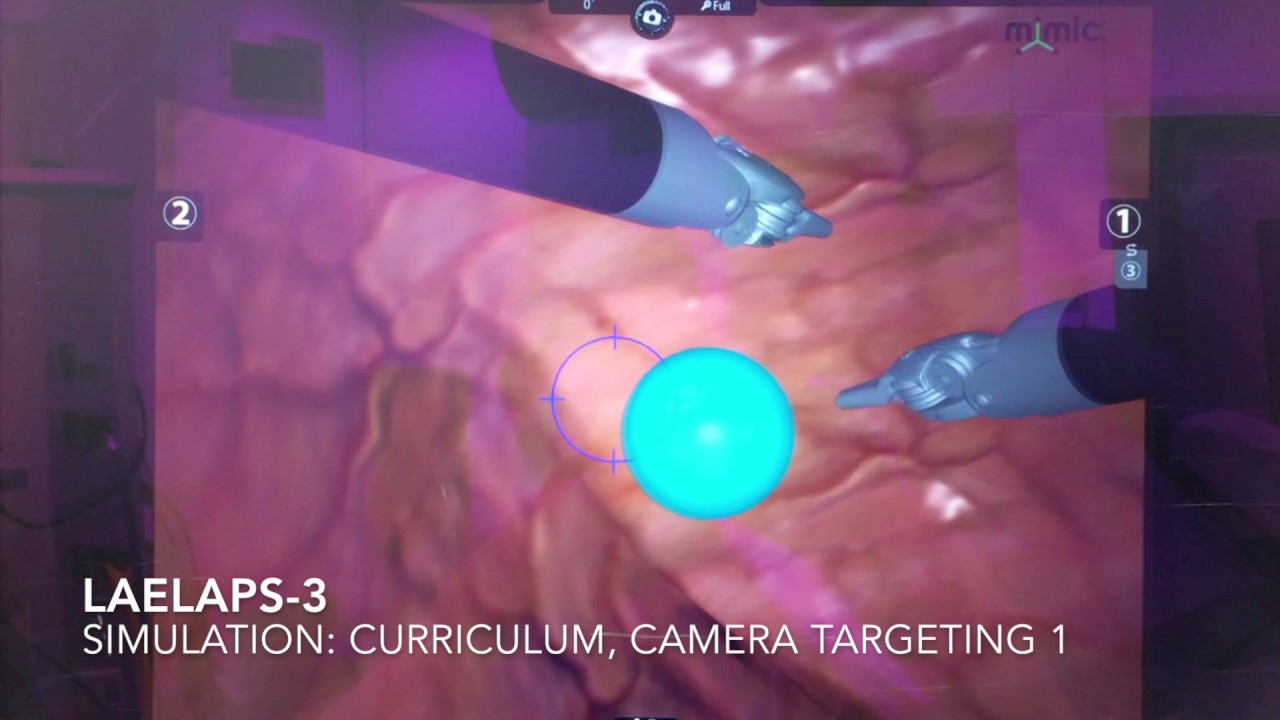 Robotic surgery game: LAELAPS-3 - Simulation, Curriculum, Camera Targeting 1