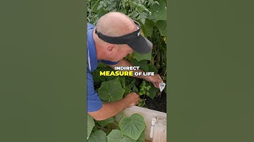 The Sweet Secret to Balancing Electrical Conductivity in Soil #soilhealth #regenerativeagriculture