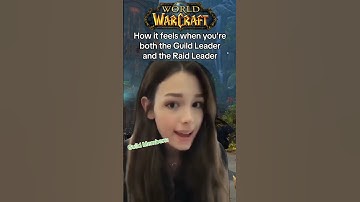 How it feels when you’re both the Guild Leader and the Raid Leader #worldofwarcraft #warcraft #mmo