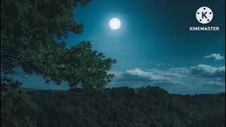 Surat Al Lail, Asy syam, Al Balad, Al Fajr suara merdu Muhammad Thaha Al Junaid