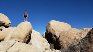 JOSHUA TREE National Park | Car Camping Jumbo Rock | Van Life