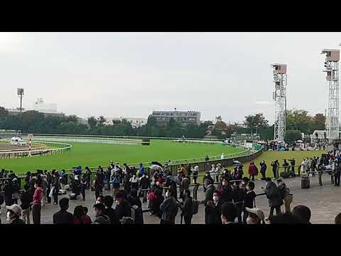 第164回天皇賞ファンファーレ
