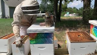 Beekeeping: Late Summer Hive Split?