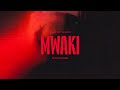 Zerb - Mwaki (Skytech Remix)