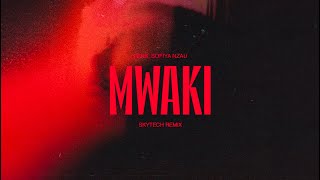 Zerb - Mwaki (Skytech Remix) Resimi