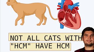 Not All Cats with 'HCM' have HCM?