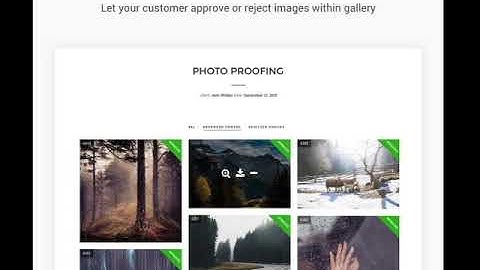 Photography Responsive Photography Wordpress Theme
