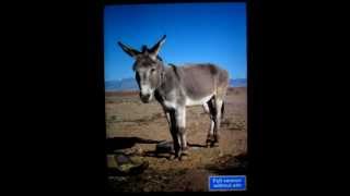 Sound Touch Review By Best-Toddler-Apps