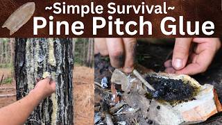 Simple Survival Pine Pitch Glue