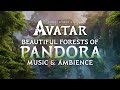 Avatar  forests of pandora music  ambience in 4k wgameworlds