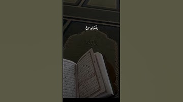 قرآن كريم ارح واسمع قلبك 💙#لاالهالاالله💚 #اكسبلور #لايك #دويتو #راحة_نفسية #اكتب_شي_تؤجر_عليه ❤️❤️