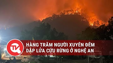Hàng trăm người xuyên đêm dập lửa cứu rừng ở Nghệ An | Truyền hình Quốc hội Việt Nam