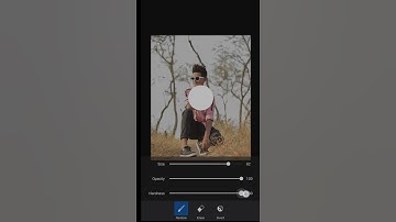 Snapseed background colour change photo editing #shorts