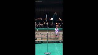 Highlight 25:40 - 30:40 from St. Pat's High School Christmas Program 2025