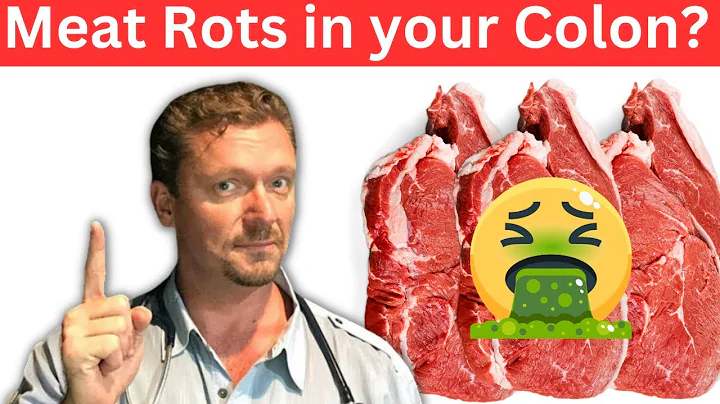 Meat ROTS in Your Colon?? (What Really Does) 2022