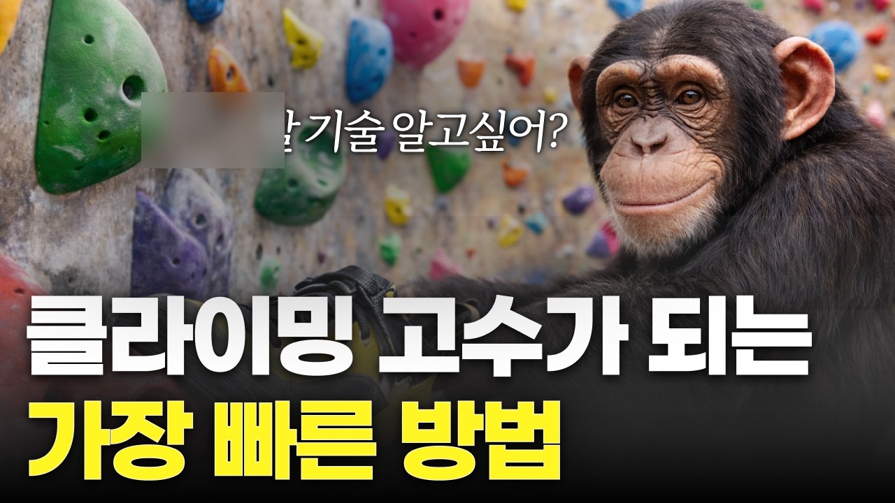 클라이밍 고수가 되는 가장 빠른 방법