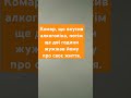 Веселий комар ржакадосліз Funny Smile коміки Rek Jokes Memes Comedy Веселий комар ржакадосліз Funny Smile коміки Rek Jokes Memes Comedy