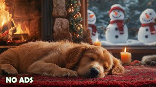 12 Hours of Dog Calming Music for Dogs 🐶❄️ Anti Separation Anxiety Relief 🎵 Deep Sleep 🌈 No Ads
