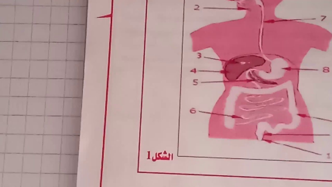 اقوى مراجعة للعلوم رابعة متوسط - الفصل الاول