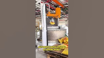 Automatic DePalletizing & Feeding Robot 😎 #depalletizer #automation #palletizer #robotics #plastic