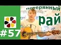 Потерянный рай- Ария (Кипелов), разбор на гитаре, кавер, бой, аккорды, обучение, как играть