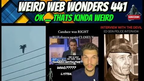 weird web wonders 441