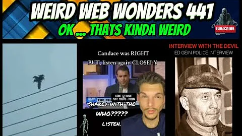 weird web wonders 441