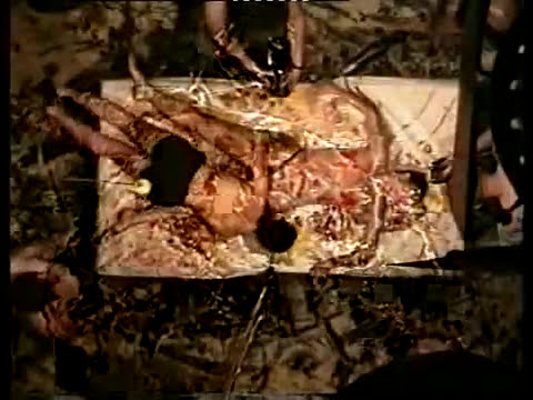 EL DIBUIXANT 2005/ Documentary Marcel-lí Antúnez Roca