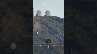 SUPER ZOOM #plants #garden #zoom #superzoom #new #ai #shorts #shortvideo #shortsfeed #news #trending